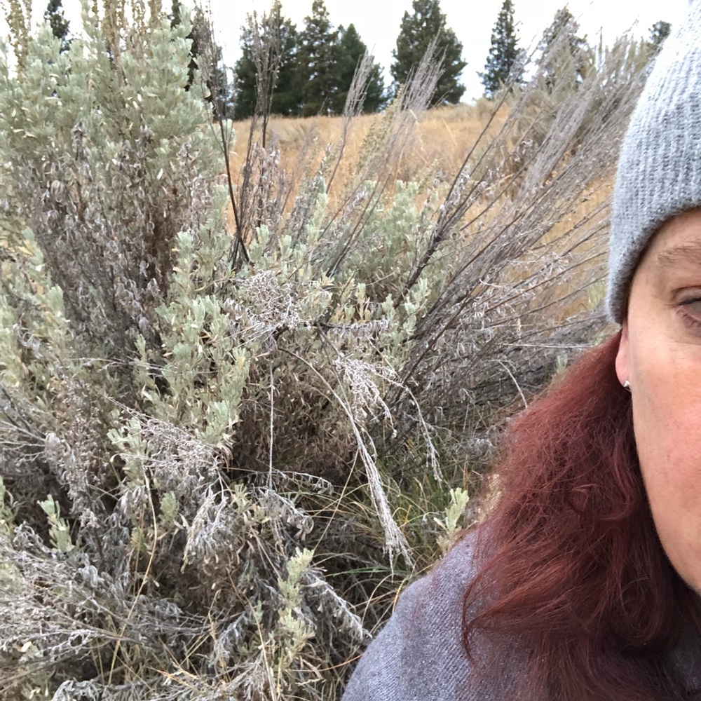 Meet your Posher, Mindy